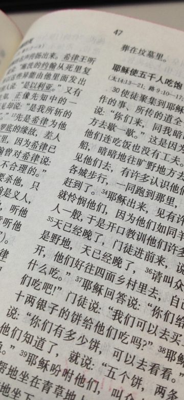 离线缓存管理页面截图，列表显示已缓存章节与占用空间，右侧有清理按钮，整体为浅色卡片式布局